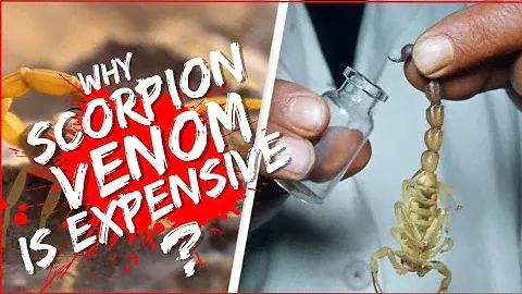Why scorpion venom is so expensive? (2023)