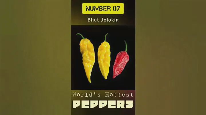 World's #hottest Peppers | #top10 Burning Hot Chilies | #world #record holders