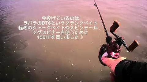 スコーピオンXV1581F使ってみた🤙