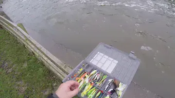 Big Pike no luck! Snagged a Rapala DT10🎸 Shimano Scorpion DC