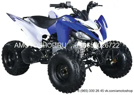 Квадроцикл АВМ Scorpion 125 M