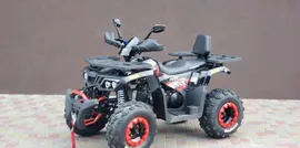 Бензиновый квадроцикл Scorpion 200cc