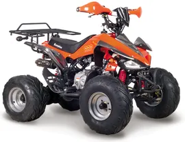 Квадроцикл АВМ 125А Scorpion спортивный заднеприводный с объемом двигателя 125 см/куб